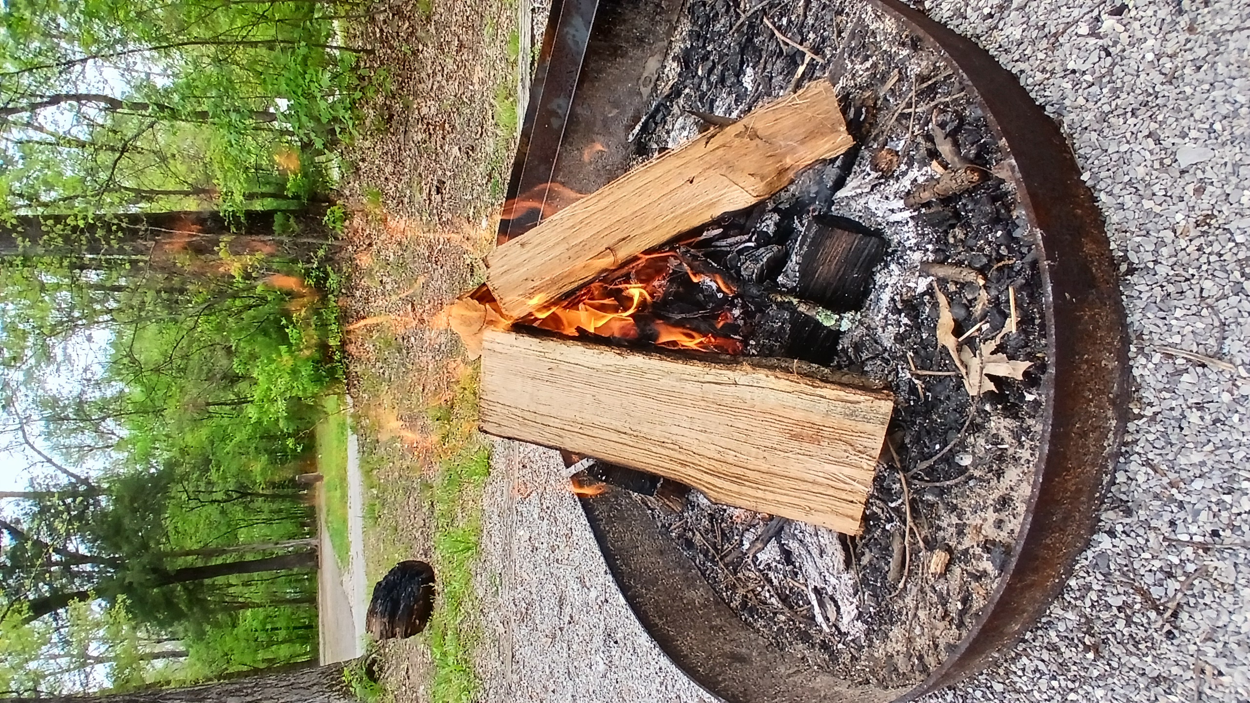 Extra Arkansas trail photo