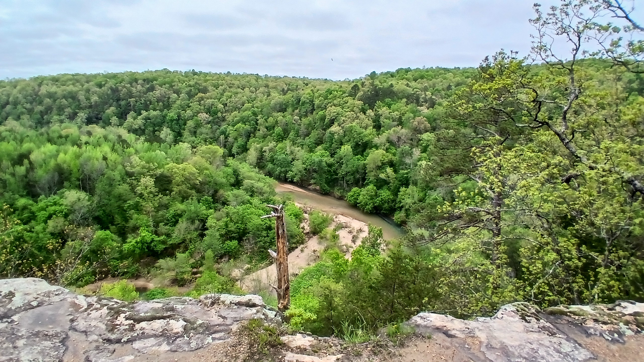 Tree line and scenic hillside near the campground